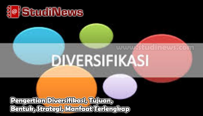 Pengertian Diversifikasi, Tujuan, Bentuk, Strategi, Manfaat