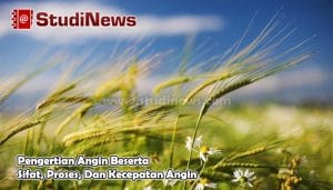 Pengertian Angin Beserta Sifat, Proses, Dan Kecepatan Angin