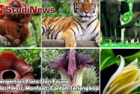 Pengertian Flora Dan Fauna, Klasifikasi, Manfaat, Contoh