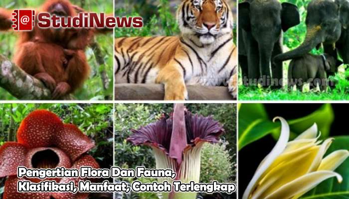 Pengertian Flora Dan Fauna, Klasifikasi, Manfaat, Contoh