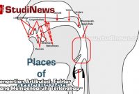 Pengertian Artikulasi, Faktor Yang Mempengaruhi