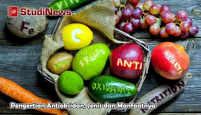 Pengertian Antioksidan, Jenis dan Manfaatnya