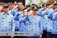 Pengertian ASN (Aparatur Sipil Negara), Jabatan, Hak dan Kewajibannya