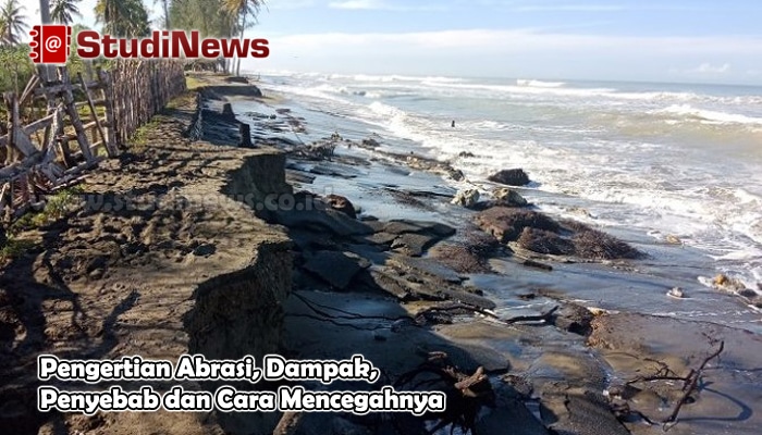 Pengertian Abrasi, Dampak, Penyebab dan Cara Mencegahnya