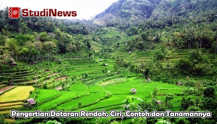   Pengertian Dataran Rendah  Ciri Contoh dan Tanamannya 