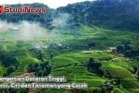 Pengertian Dataran Tinggi, Jenis, Ciri dan Tanaman yang Cocok