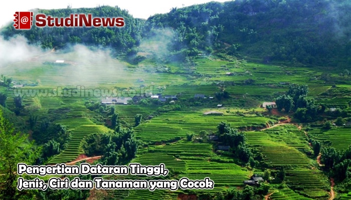 Pengertian Dataran Tinggi, Jenis, Ciri dan Tanaman yang Cocok