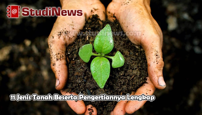 11 Jenis Tanah Beserta Pengertiannya Lengkap