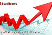 Pengertian Indikator, Fungsi dan Macamnya