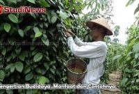 Pengertian Budidaya, Manfaat dan Contohnya