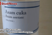 Pengertian Asam Cuka