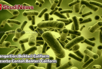 Pengertian Bakteri Coliform Beserta Contoh Bakteri Coliform