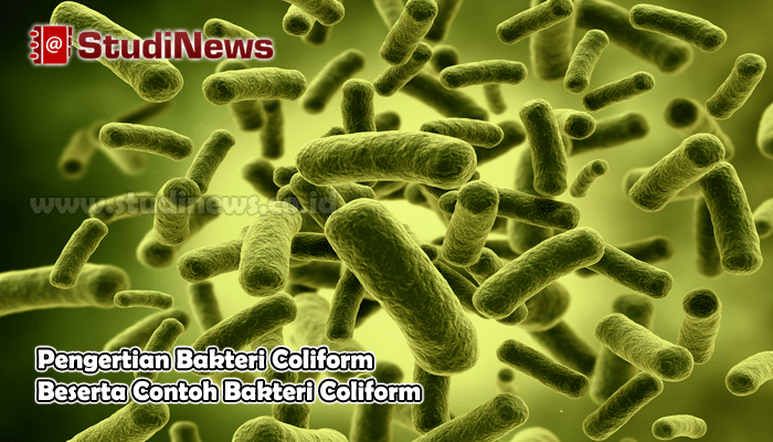 Pengertian Bakteri Coliform Beserta Contoh Bakteri Coliform