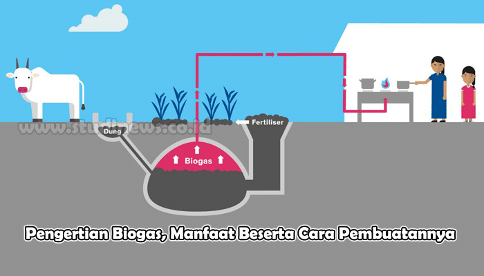 Pengertian Biogas Manfaat Beserta Cara Pembuatannya