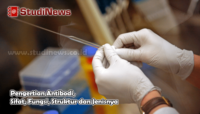 √ Pengertian Antibodi, Sifat, Fungsi, Struktur dan Jenisnya